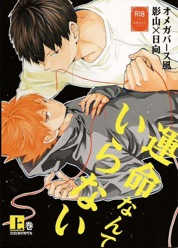 Unmei Nante Iranai &ndash; Haikyuu Doujinshi