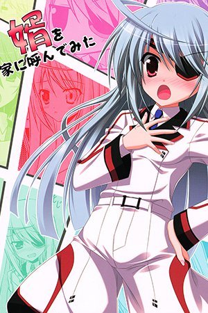 Infinite Stratos - Muko wo Ie ni yonde mita (Doujinshi)