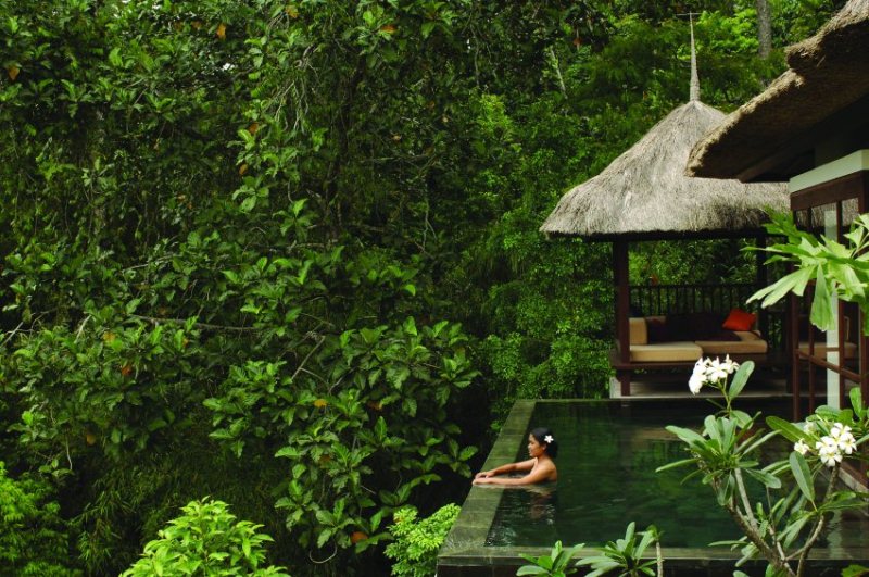 Alila Ubud and Ubud Hanging Gardens, Bali 2