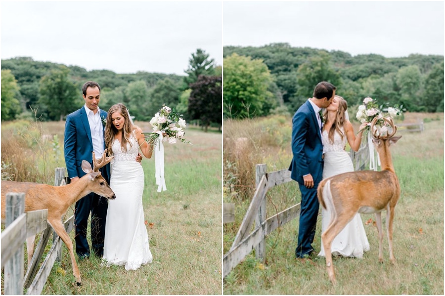 A Wedding Photoshoot To Remember Gets Interrupted By A Deer #3 | Her Beauty