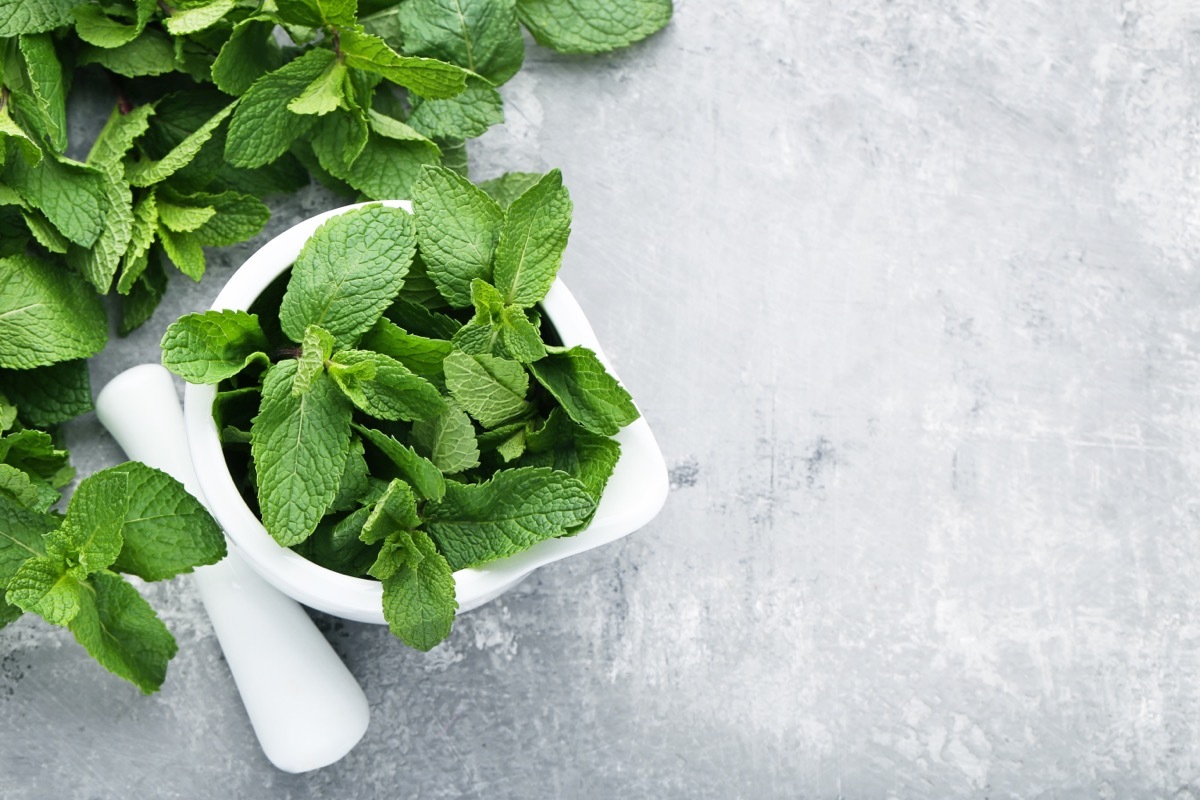 Mint Leaves on Counter