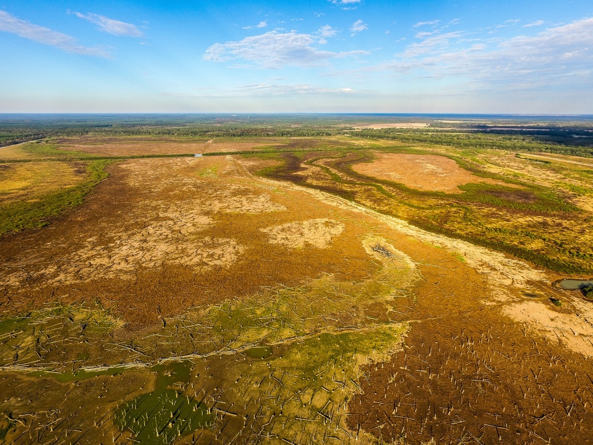 Bussey Brake Reservoir in Bastrop, Louisiana