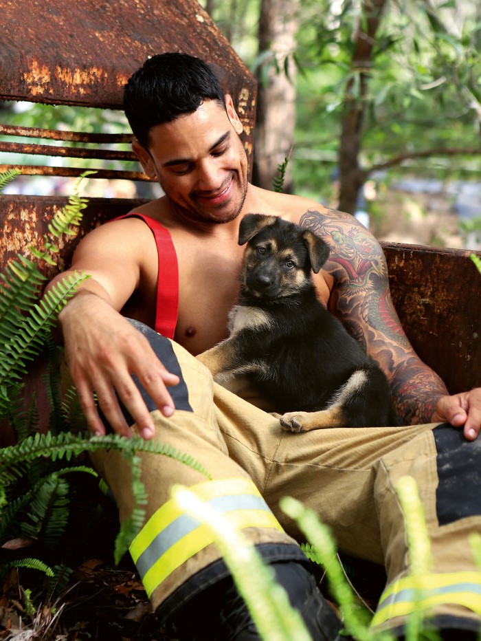 “Dog Calendar” #2 | Hot Aussie Firefighters and Animals In 2020 Charity Calendar Melt Our Hearts | Her beauty