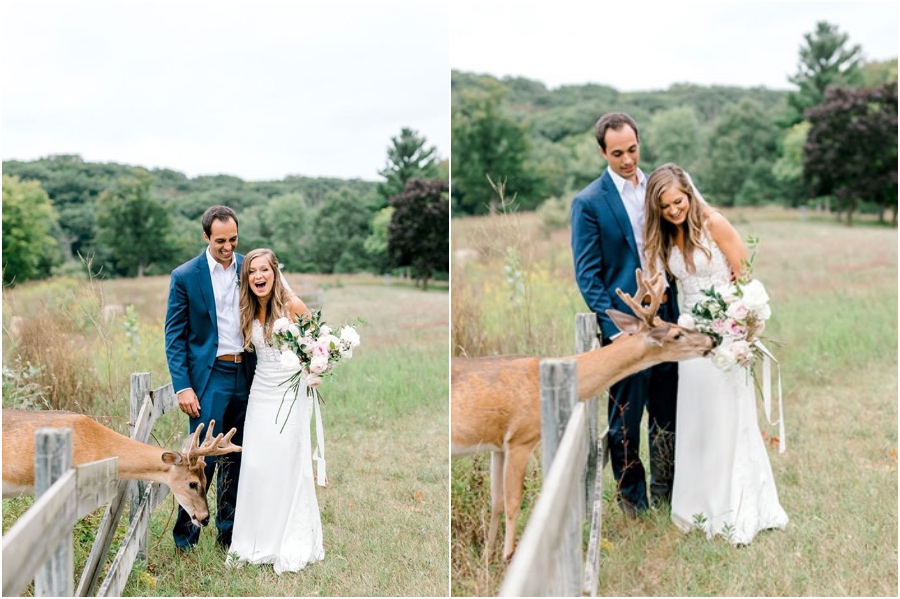 A Wedding Photoshoot To Remember Gets Interrupted By A Deer #1 | Her Beauty