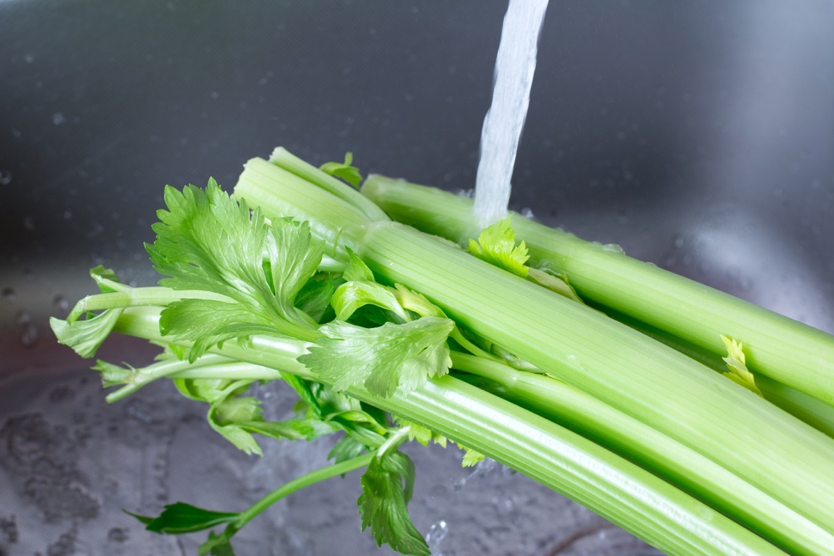 washing celery in sink