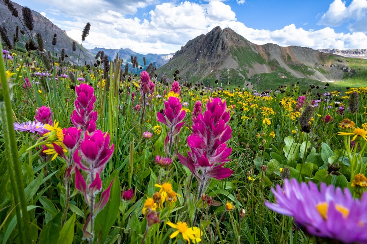 landscape photo of Ouray, Colorado