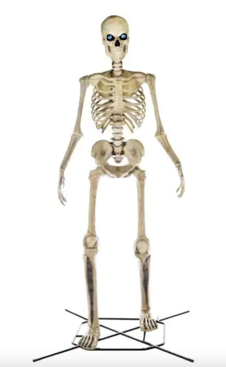 home depot skelly