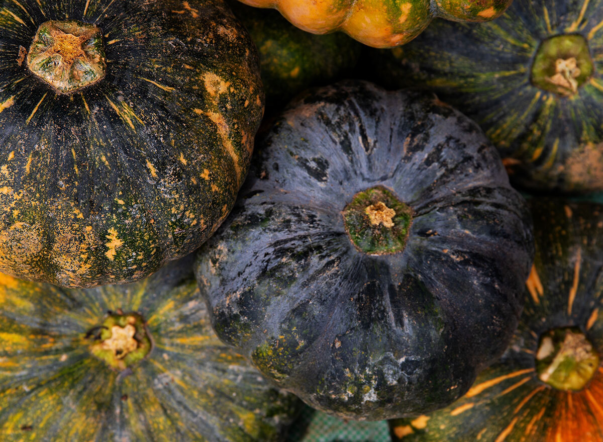 autumn cup squash close up