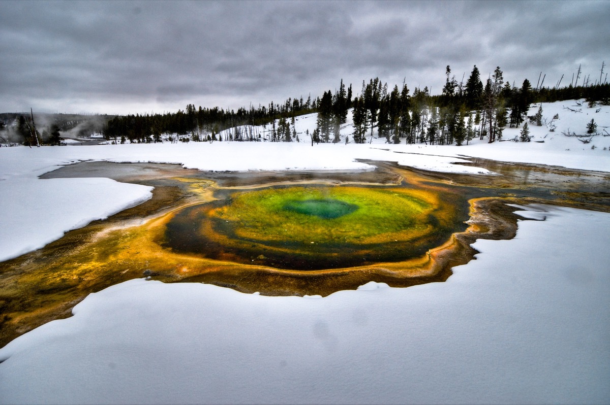 Yellowstone National Park white christmas in america