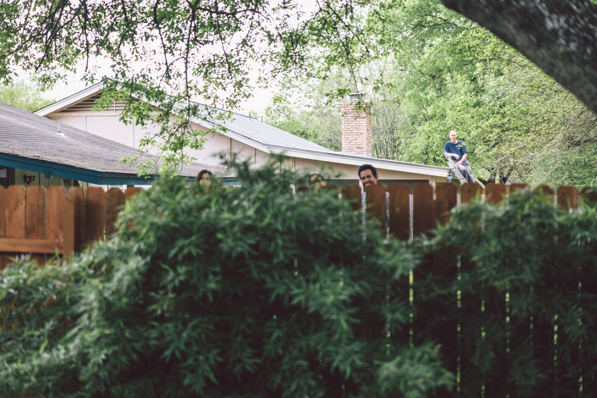 Kaitlin dilworth wedding neighbors looking over fence