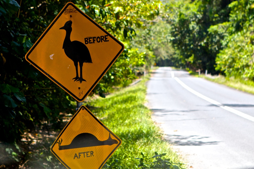 road kill Road Warning Signs