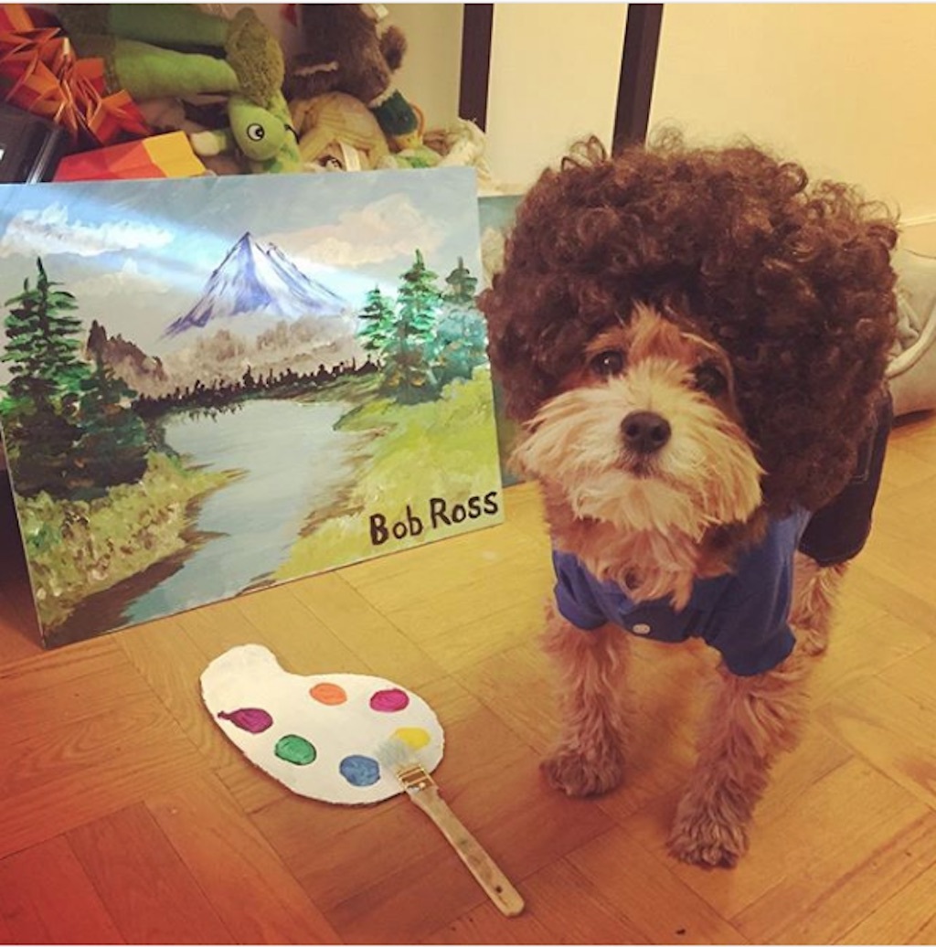 dog bob ross