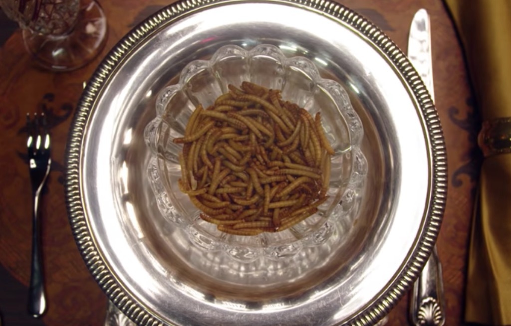 Plate of mealworms eaten by Nicole Kidman on Vanity Fair's Secret Talent Theater. 