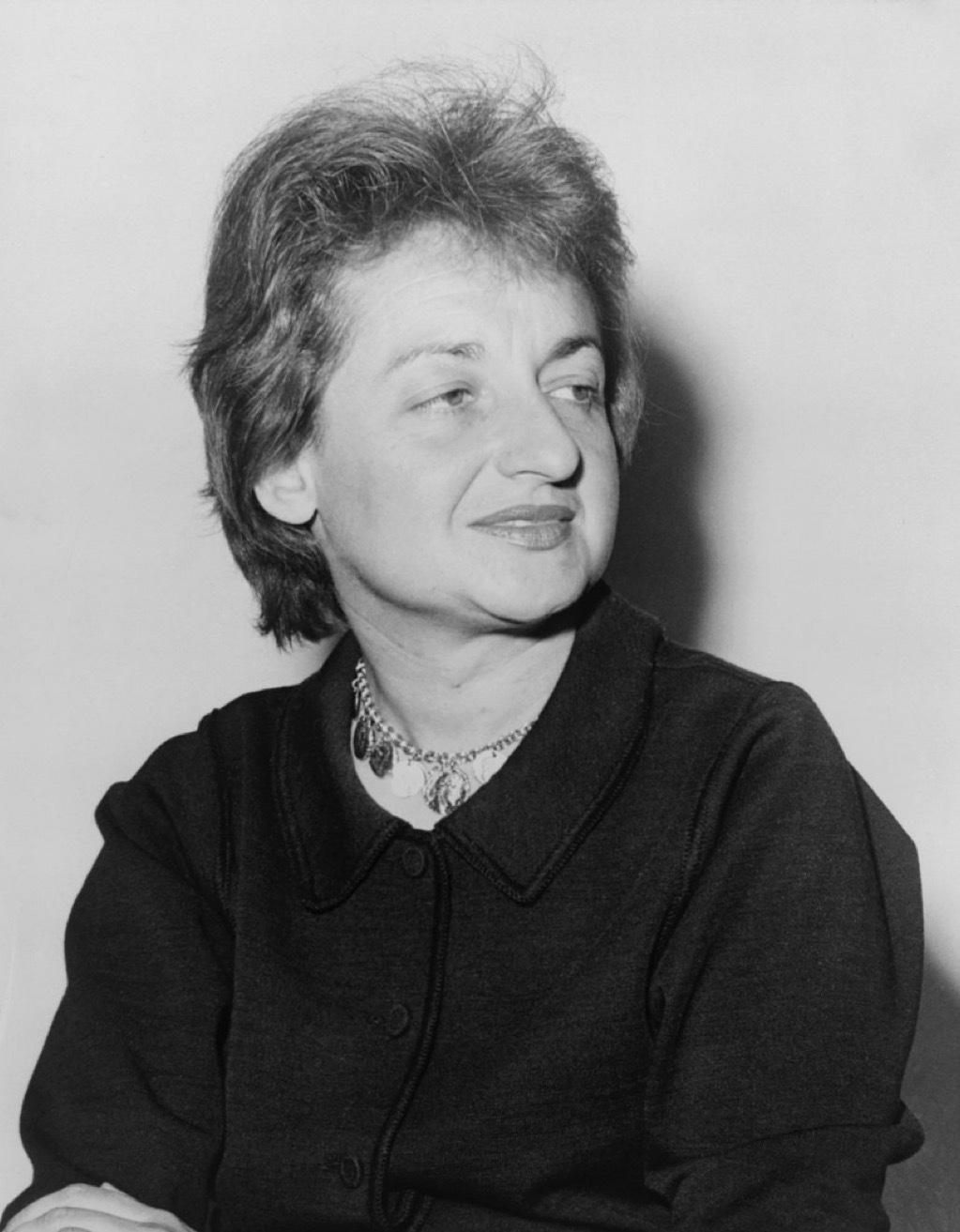 Betty Friedan best one liners