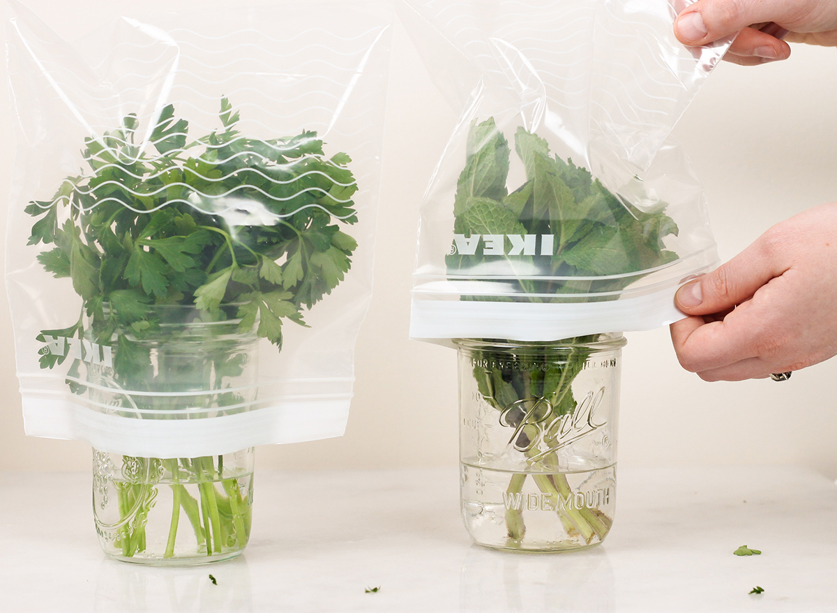 covering herbs with ziplock bag