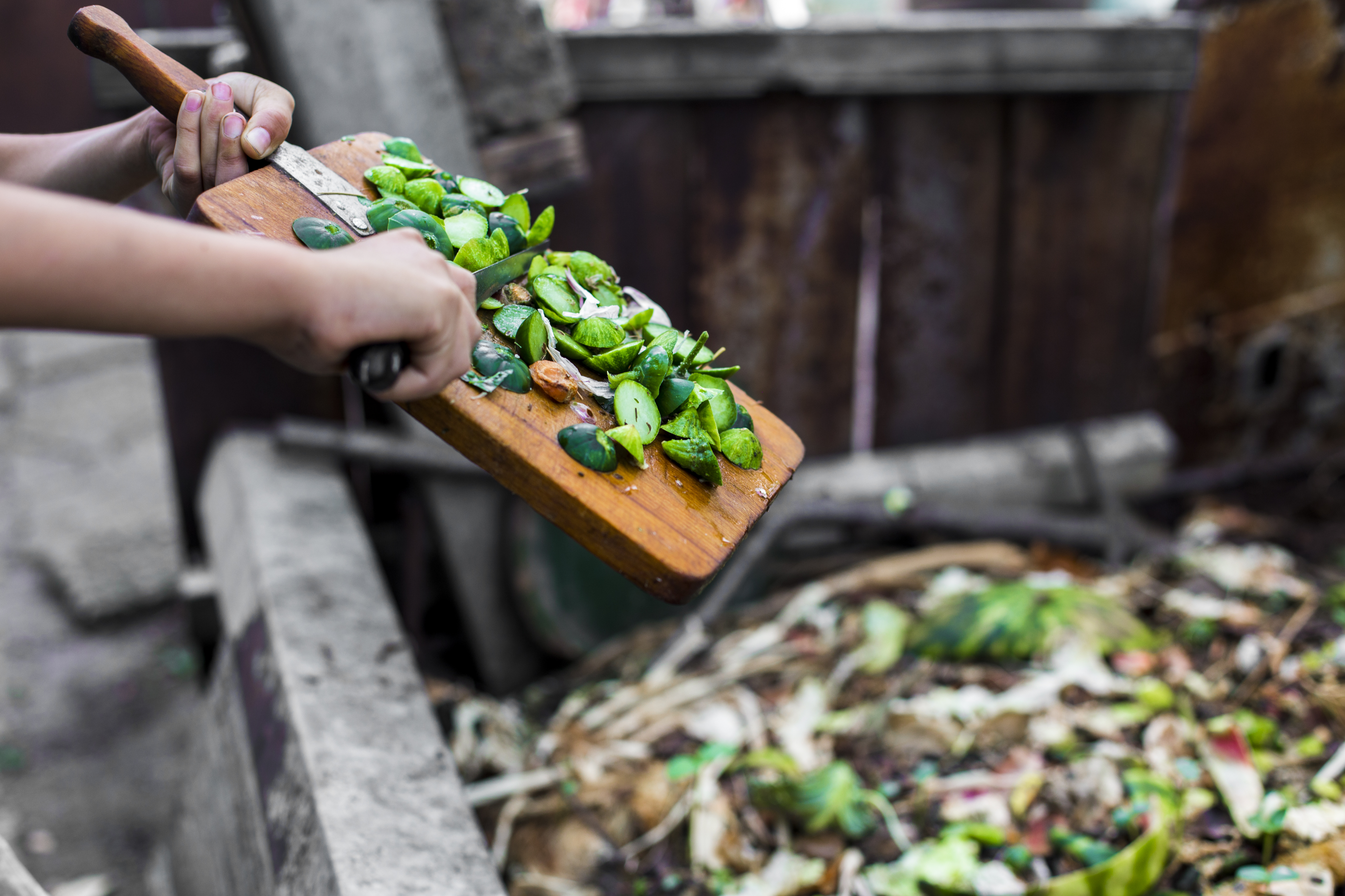 A person scraping food scraps into a compost pile