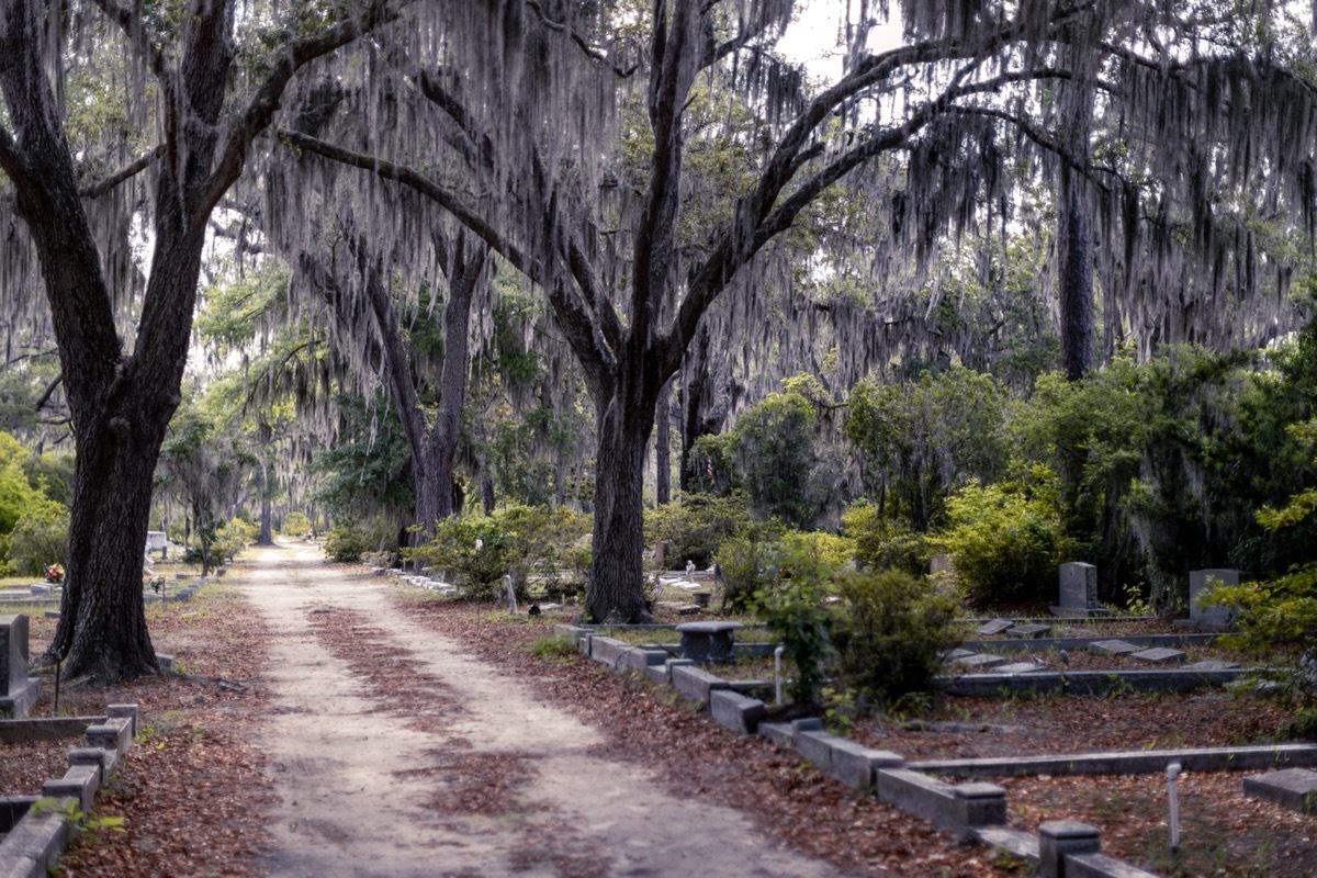 Savannah Georgia