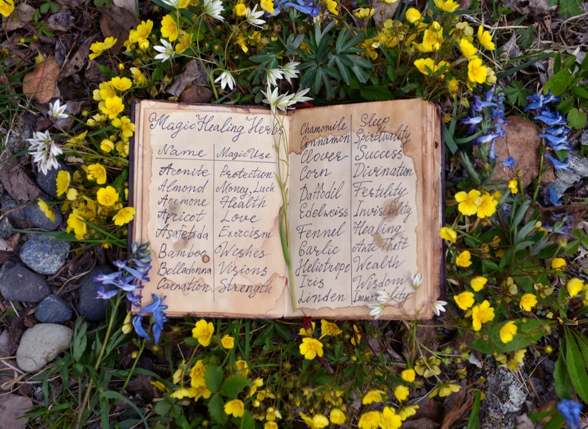 witch spellbook