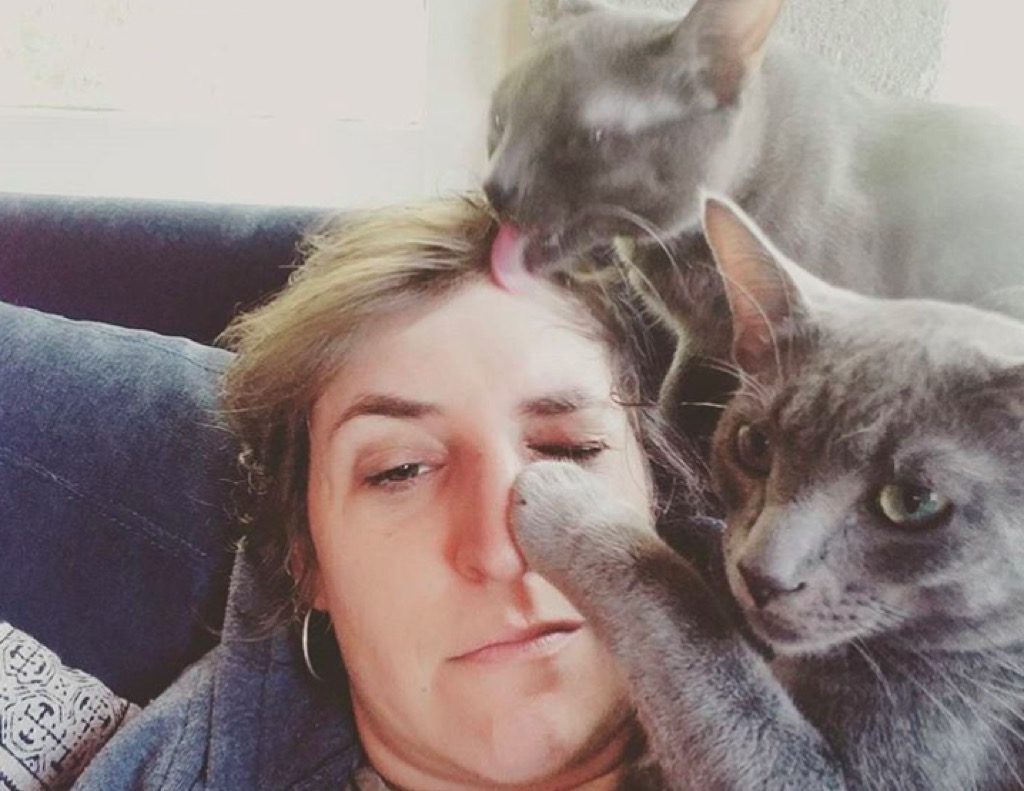 Mayim Bialik cats