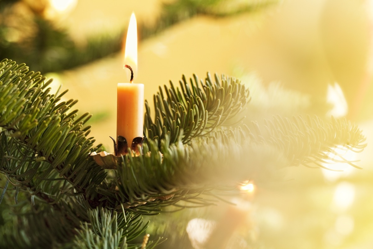 christmas tree with candle on it