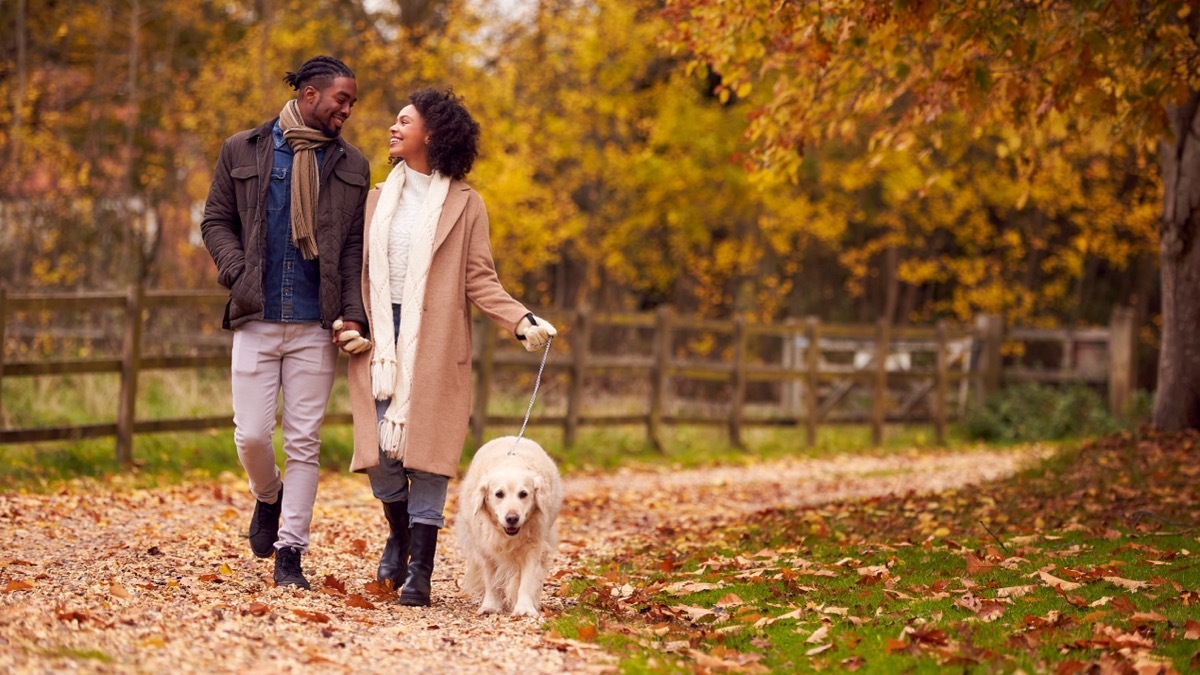 Couple walking dog in autumn