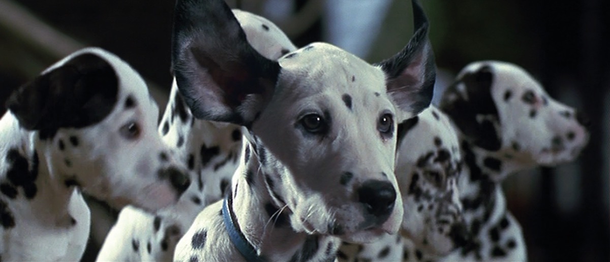 still from the 1996 101 dalmatians