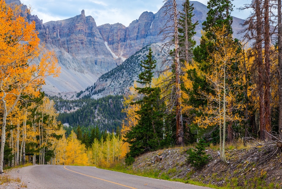 road leading into the mountains