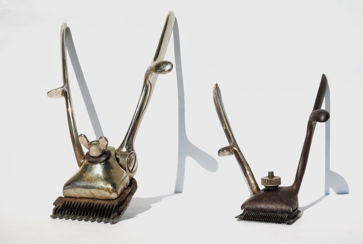 antique hair clippers weird old household items