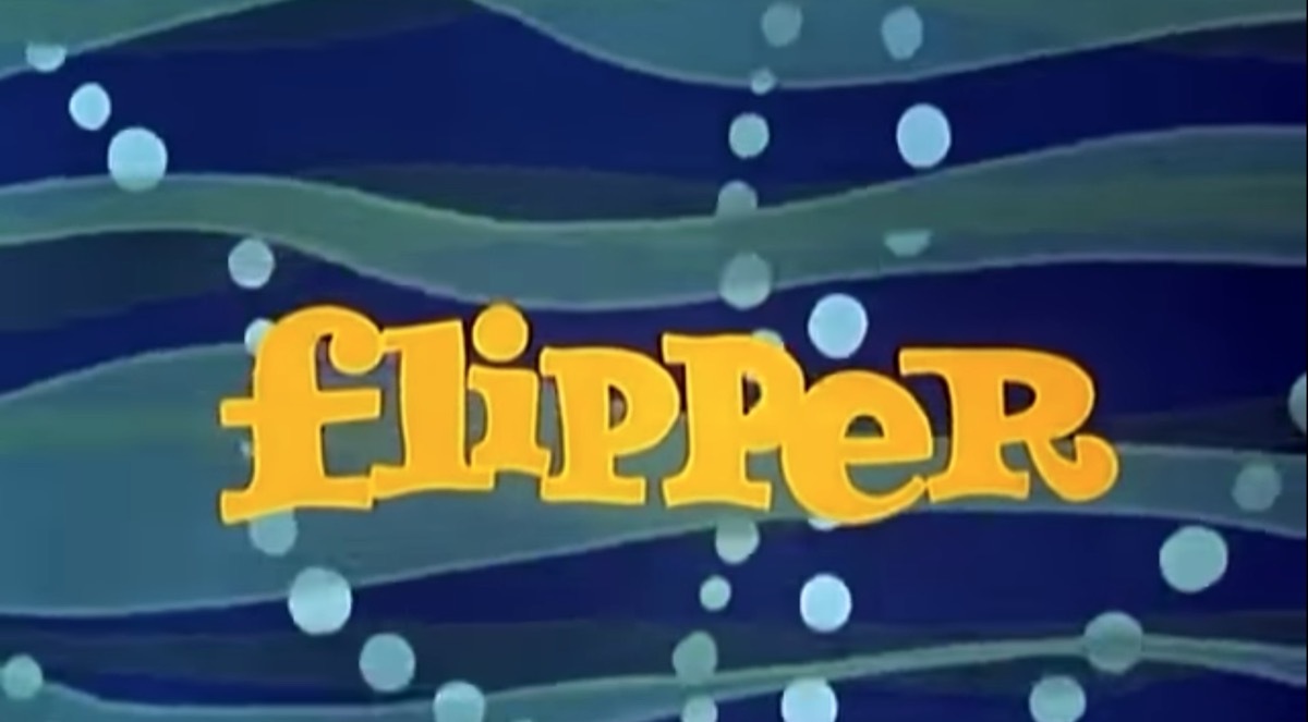 flipper