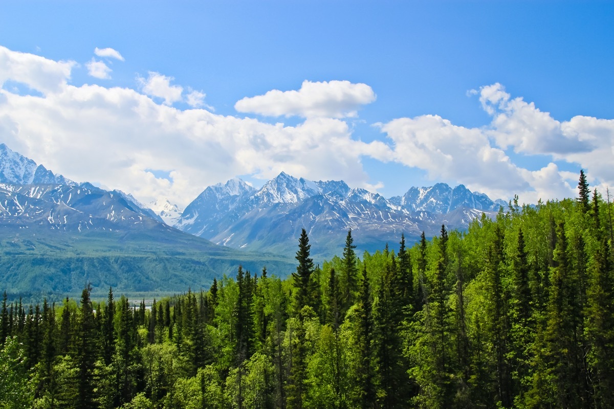 view of talkeetna from the highway