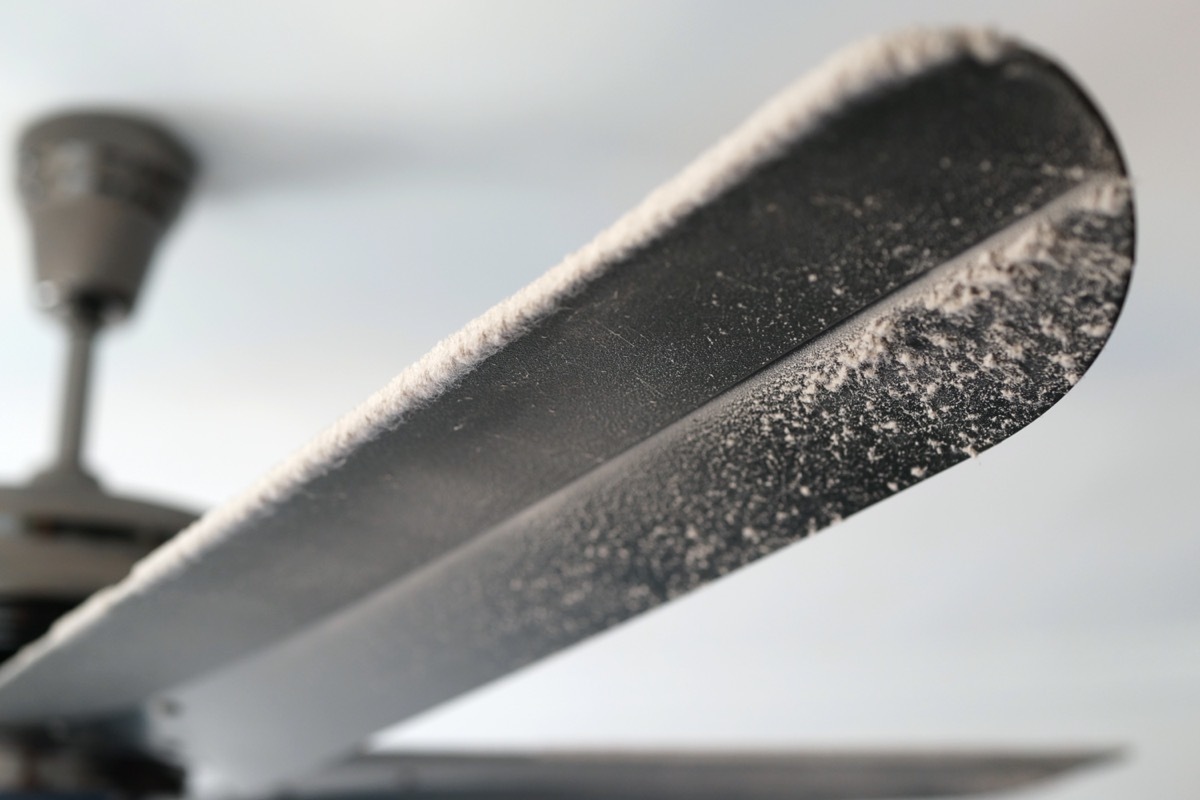 ceiling fan blades covered in dusty