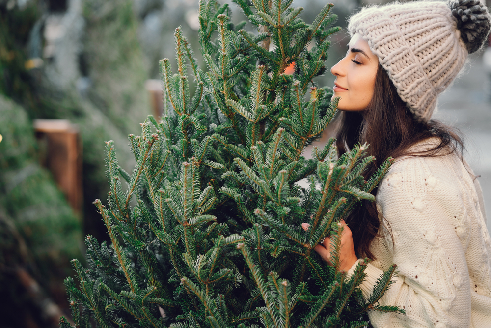 A young woman smelling a Christmas tree she is about to buy while shopping