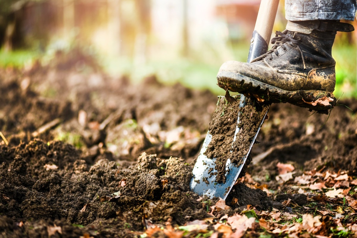 Person Digging in Yard