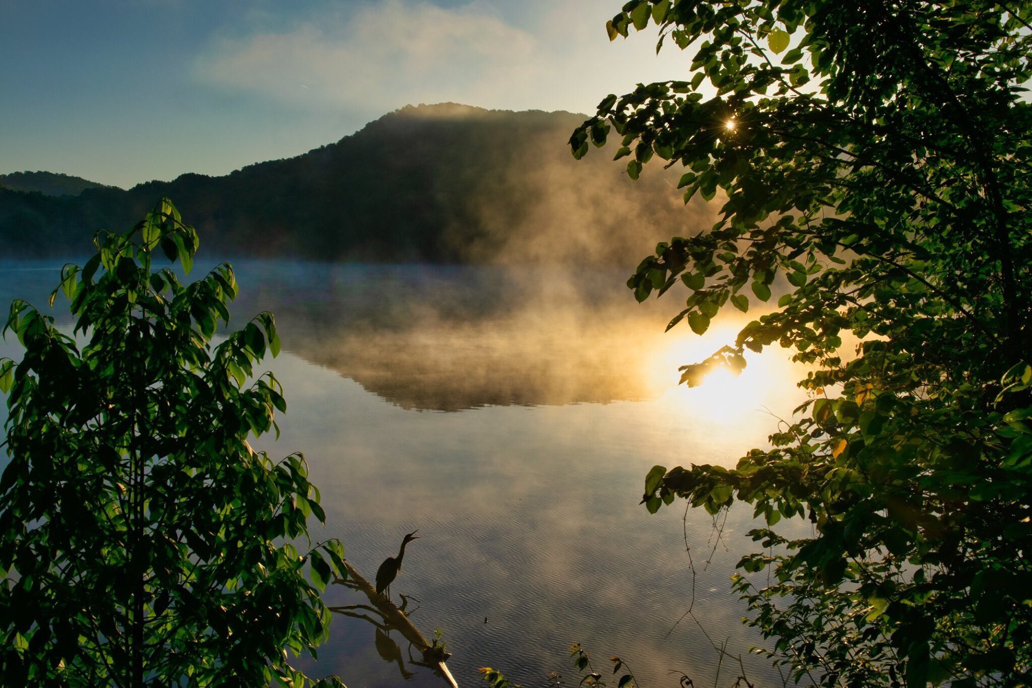 sunset at radnor lake state park in nashville, tn