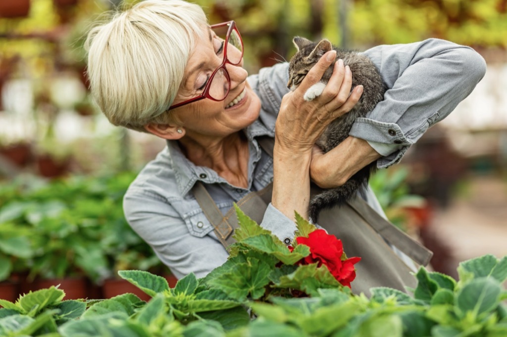 happy mature woman cuddling small kitten while working in flower plant nursery.