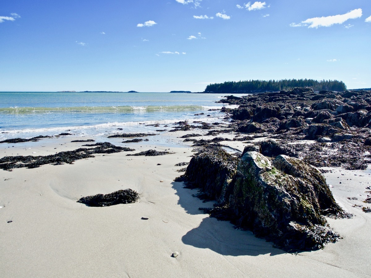 rocky beach at roque bluffs state park in maine