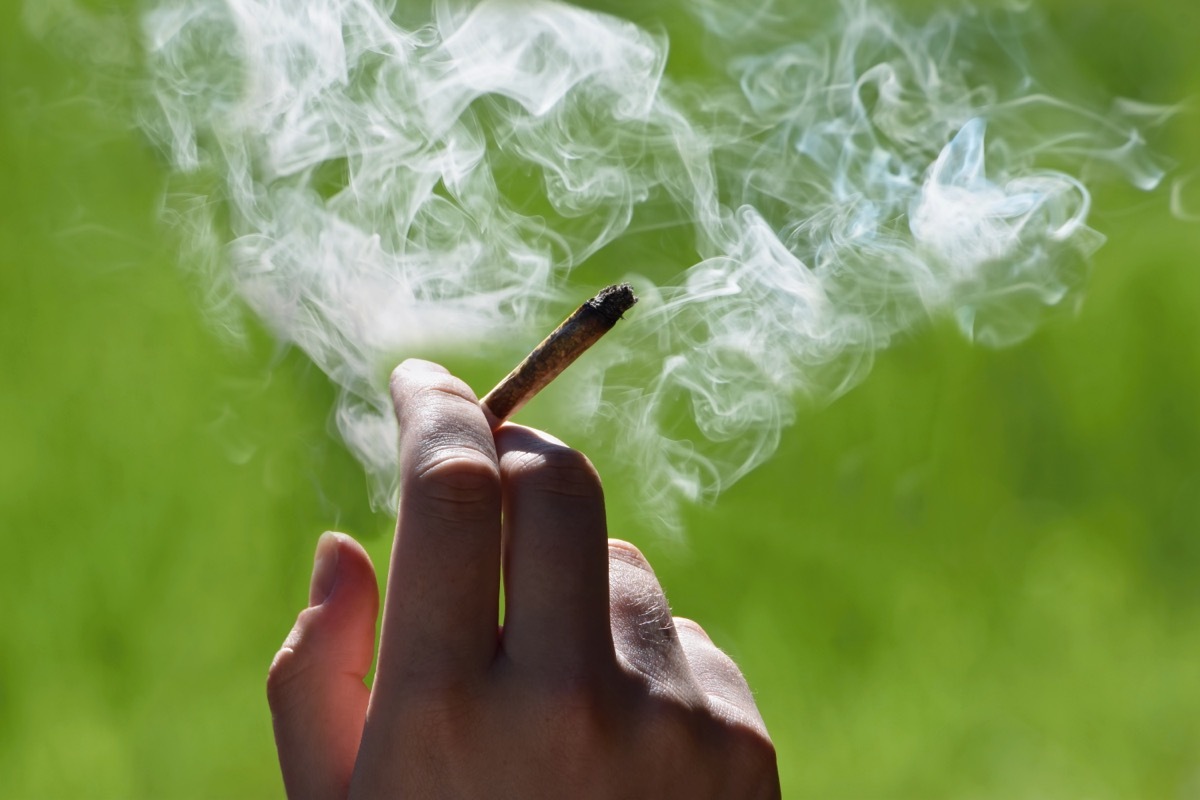 Marijuana joint in the hand