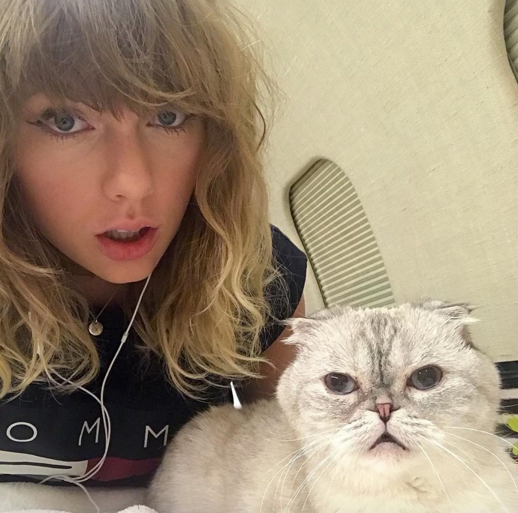 Taylor Swift Olivia Benson