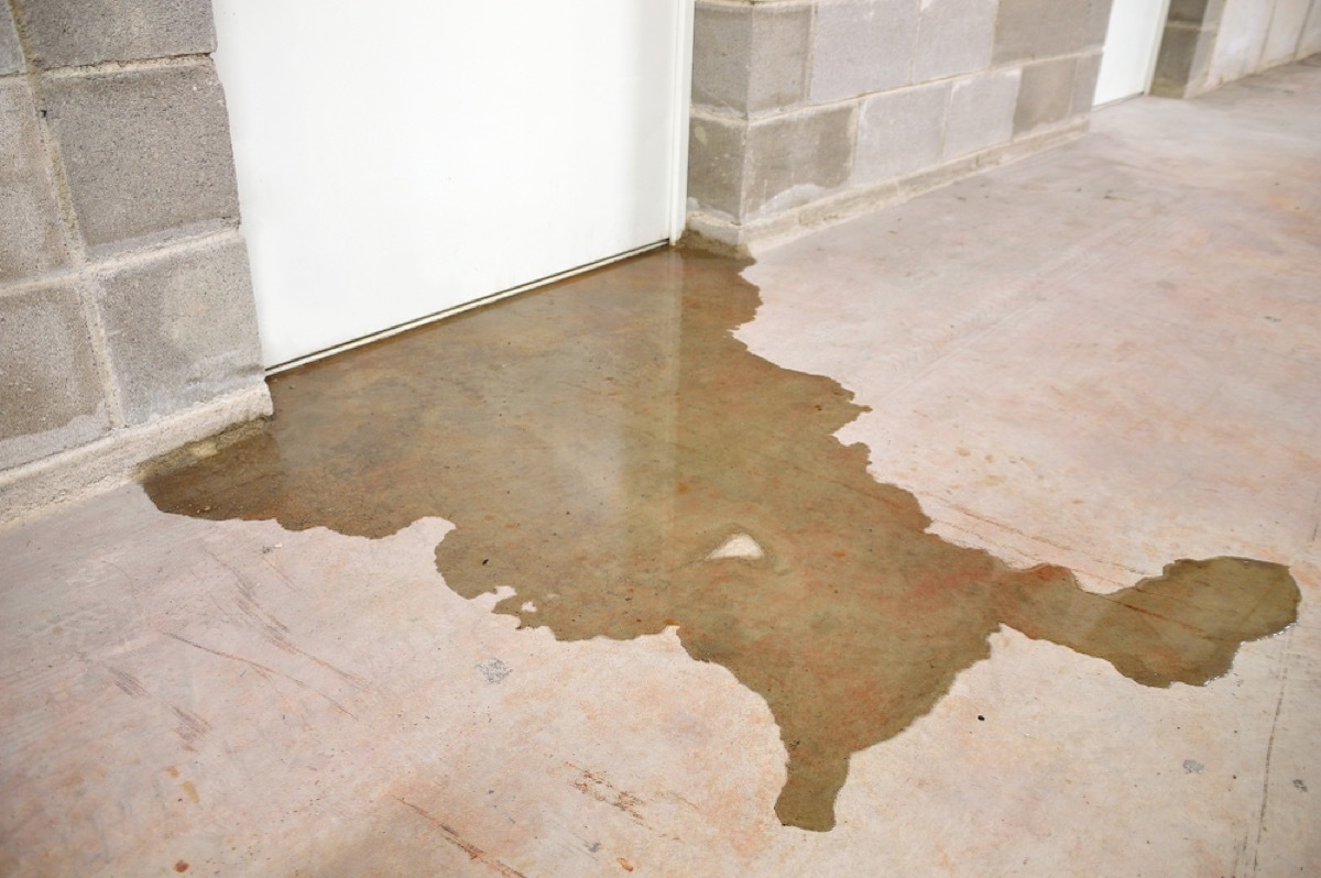 flooding basement, signs your home is falling apart