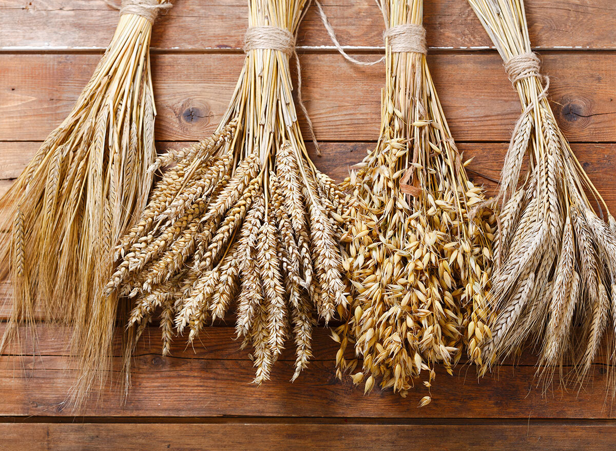 wheat barley rye ears celiac disease