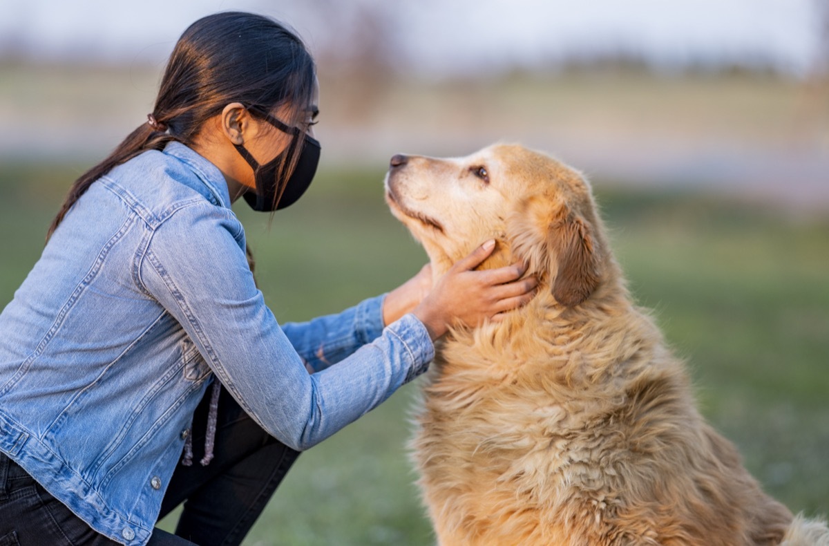 teen playing with golden retriever outside while wearing a mask.