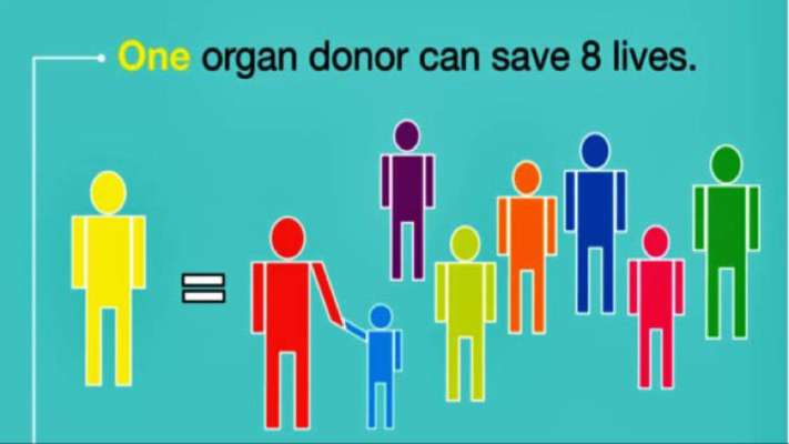 Image result for organ donor