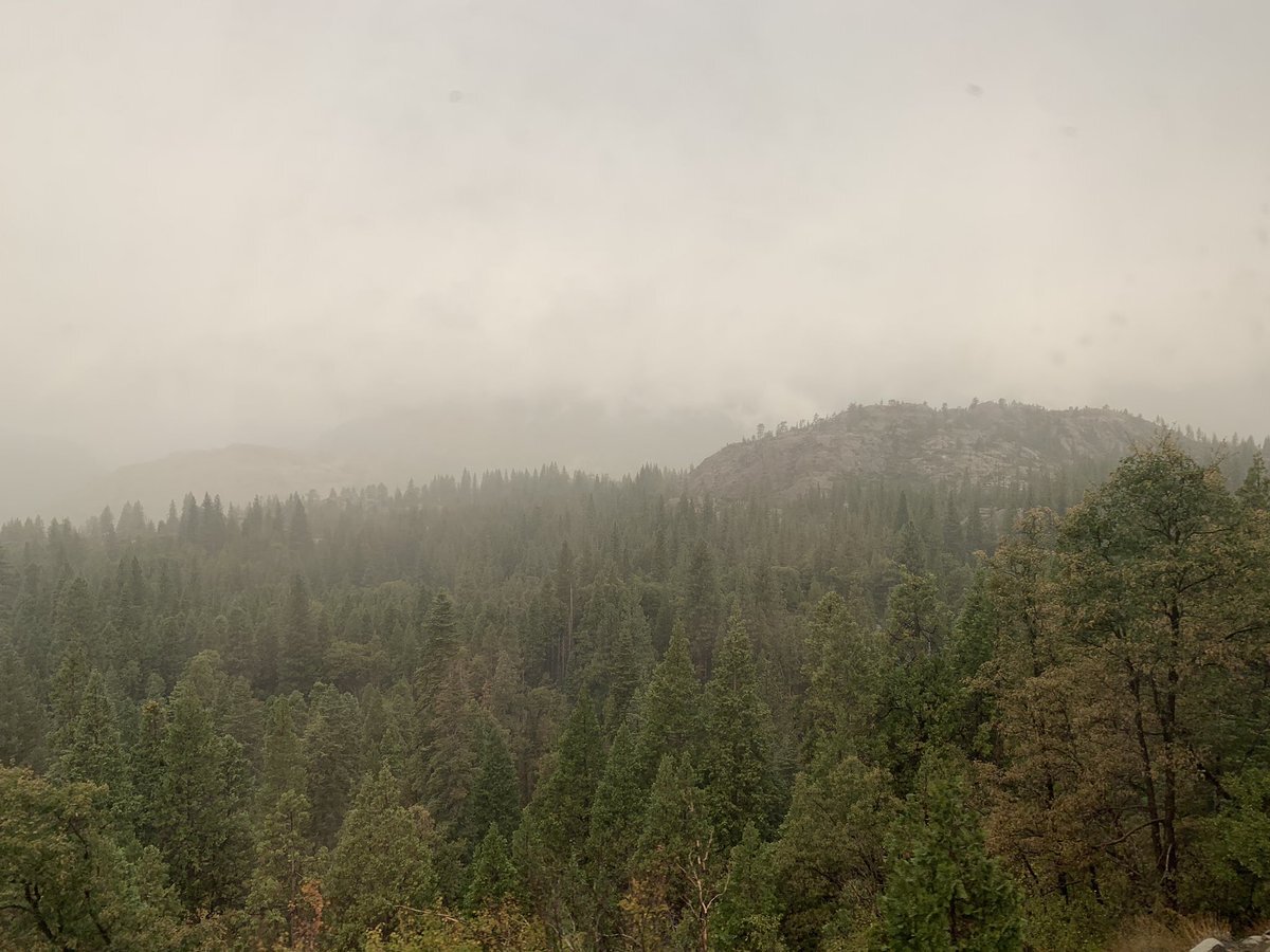 tahoe national forest in the mist