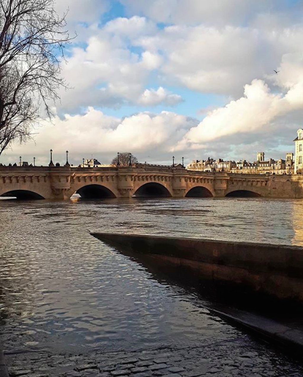 The Quai de Conti flooded in Paris, January 2018. 