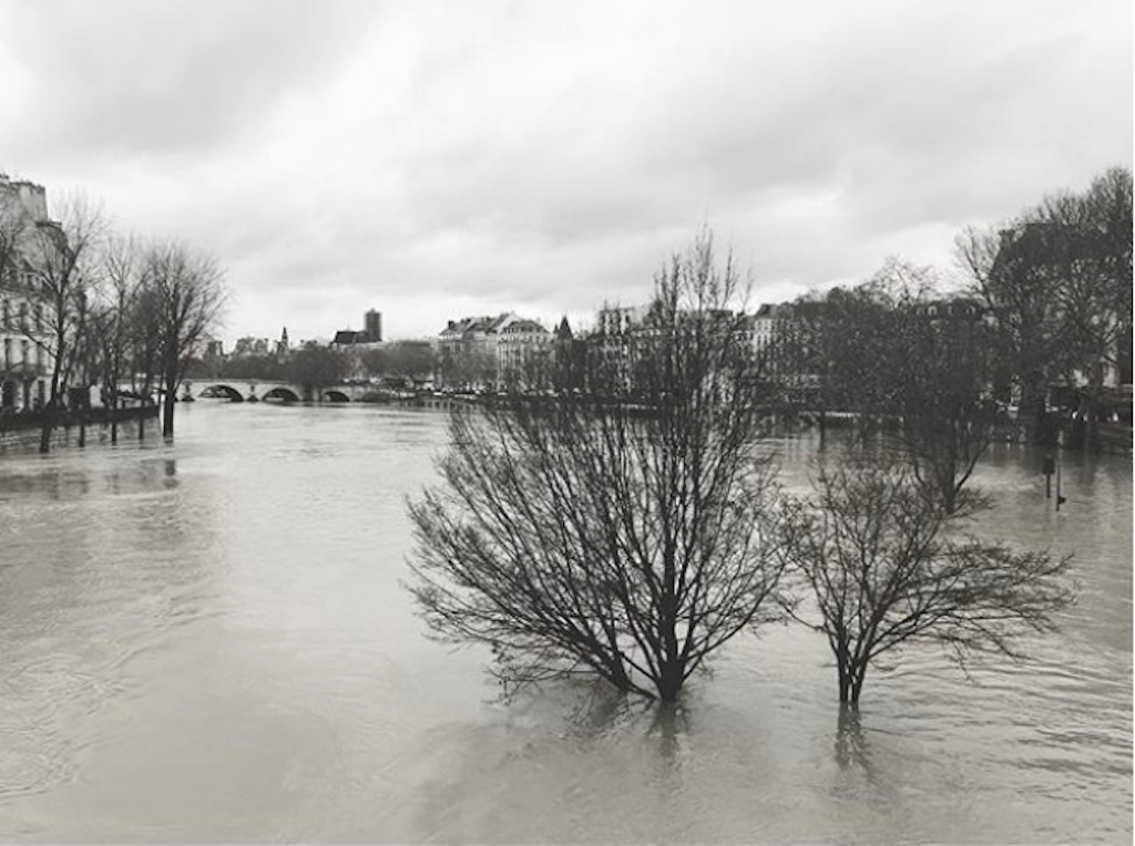 Trees underwater during Paris Flood, January 2018. 