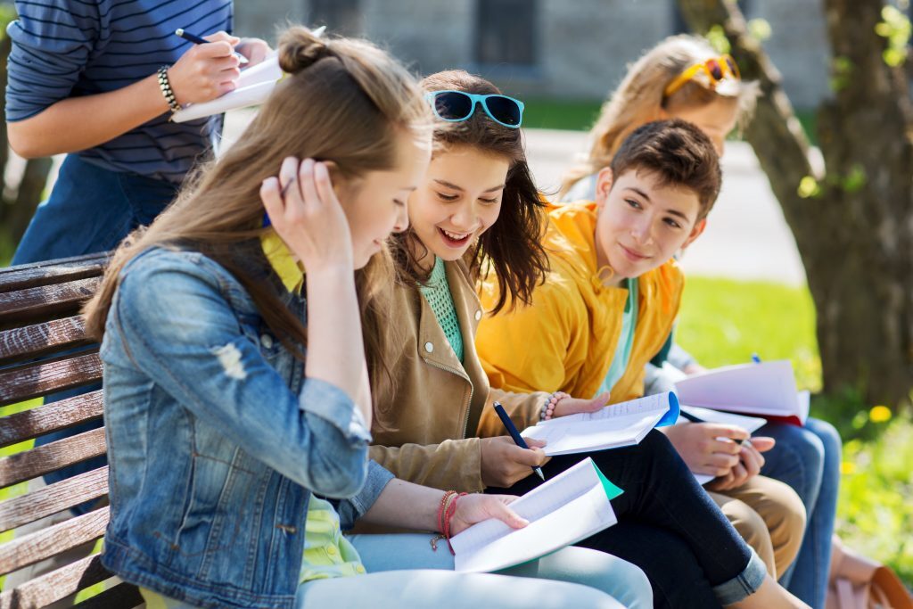 Kids Studying on Bench