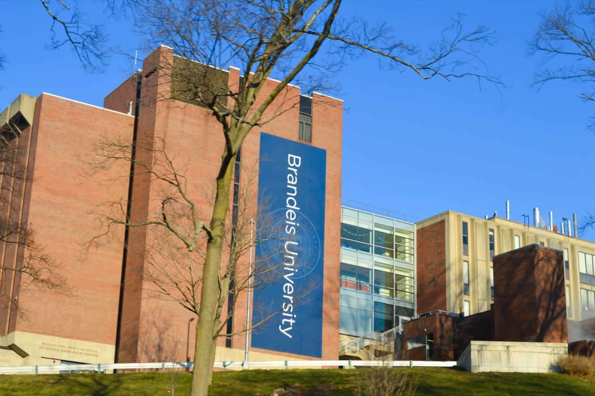 BOSTON, USA - DECEMBER 11: Brandeis University in Waltham, USA on December 11, 2016. - Image