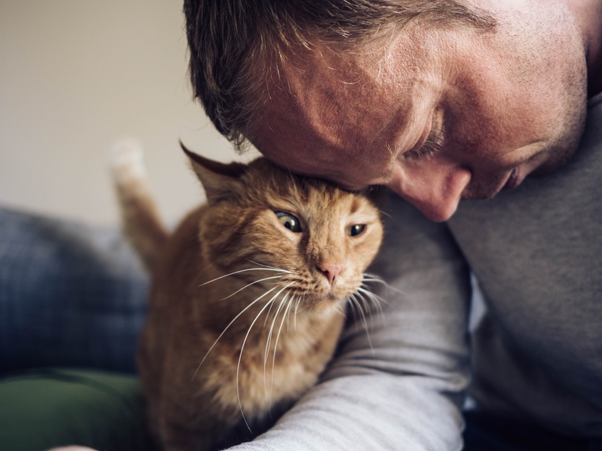 Cute cat and his owner