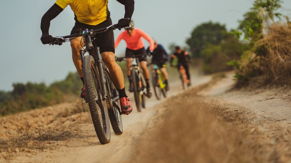 Group of Cyclists