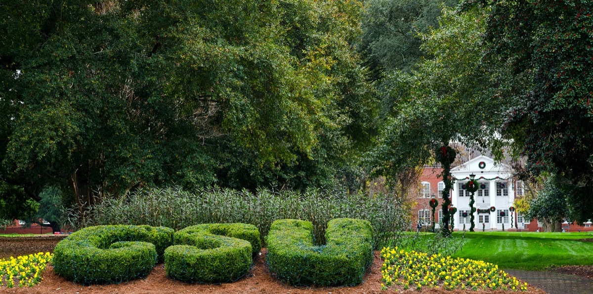 Georgia Southern University